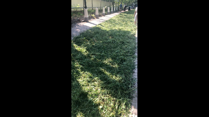 Live псково печерские паломники онтакте