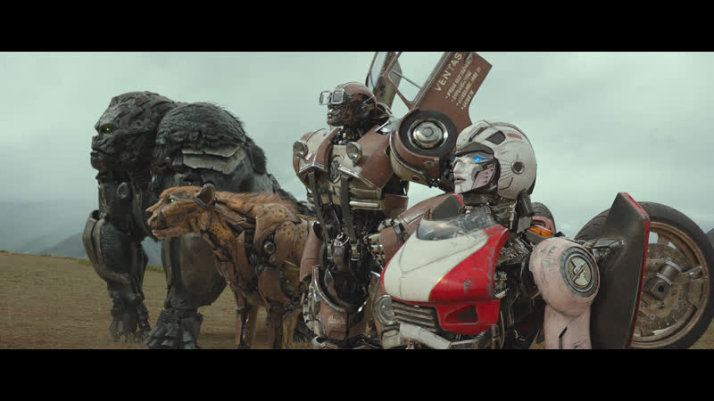 Трансформеры восхождение звероботов