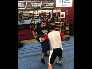 Энрике гогохия (тренироа)