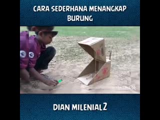 Cara sederhana membuat perangkap burung mp4