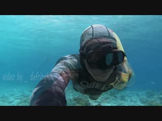 Coral reef national park wakatobi indonesia