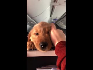 Nosy neighbor on my flight