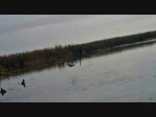 Duck hunting captured by shotkam – our video camera is mounted to the gun barrel (100% waterproof)