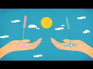 How do pregnancy tests work tien nguyen