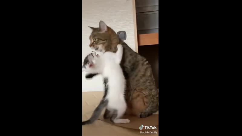 Оставь меня в покое!