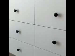 New millennium kz 20191212 1 mp4