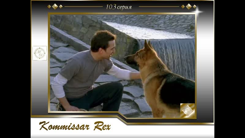 Komissar rex 9x02 wofür porn leiden müssen / комиссар рекс 103 серия за что страдают молодые