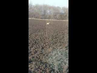 Видео от александра матросова