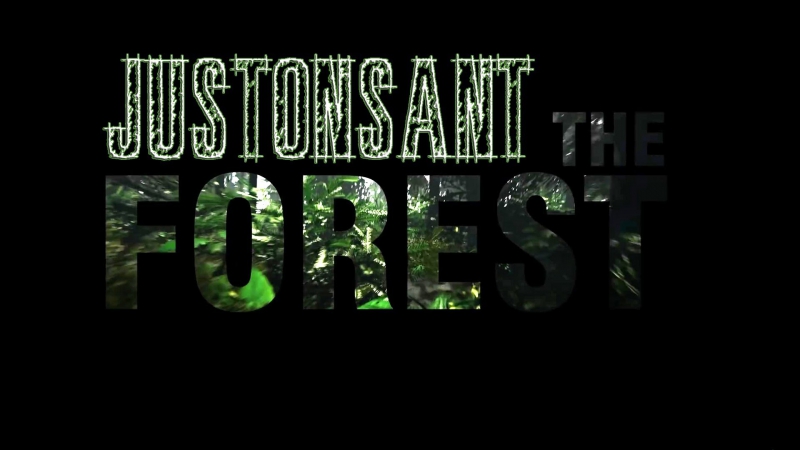 Голые аборигены (the forest #1)