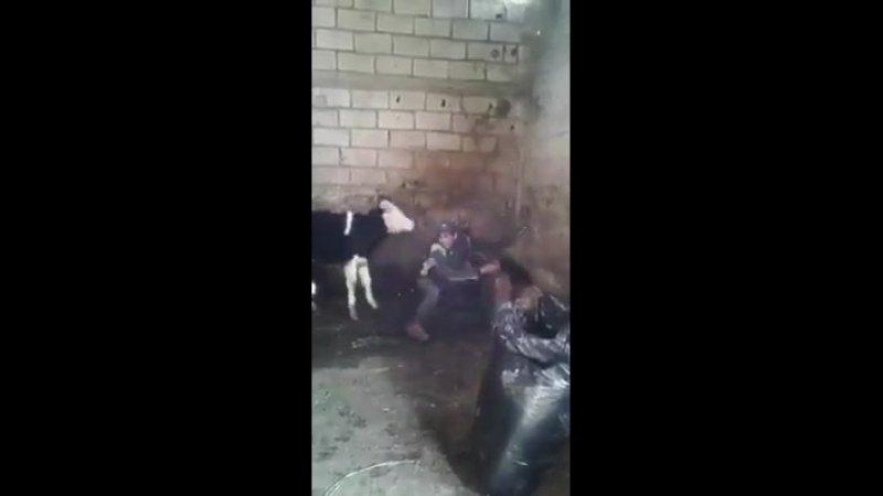 Молодые не состоялось [mdk dagestan]