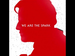 Poe dameron animation