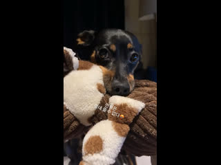 Inst hooooo in [16 08 2021]