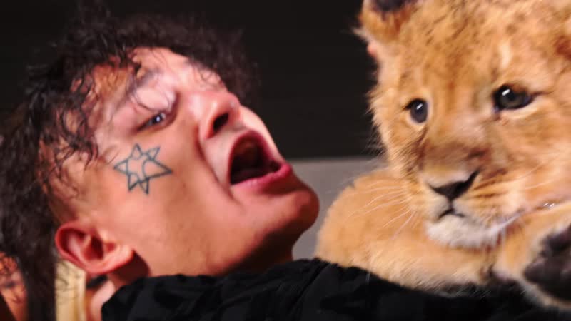 Моргенштерн yung hefner м мо мор морг морген моргенш моргеншт моренштер yun yu y hefne hefn hef he h хефнер хью х хь хе хеф