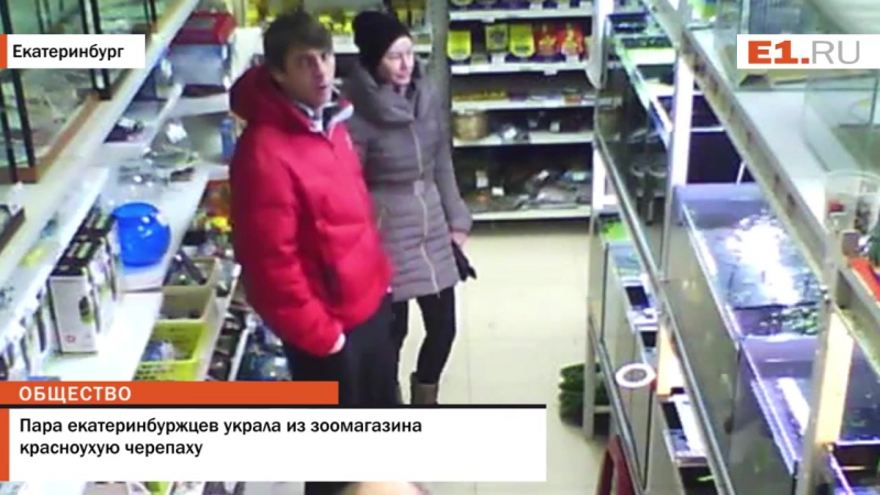 ✔ особое мнение дерзкое ограбление