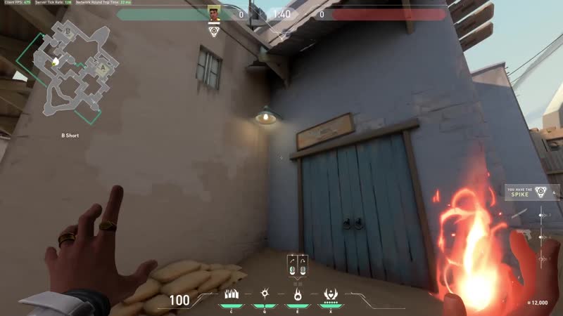 Раскидка phoenix