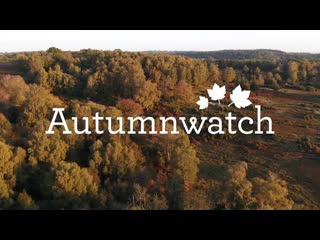 Bbc autumnwatch 2021 4of4