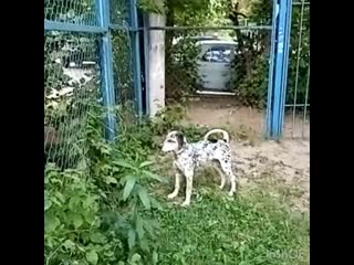 Video output d679ea24 86f4 42a9 bbc1 134d9329343e mov