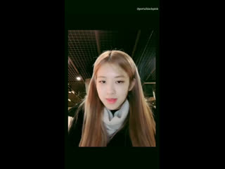 190902 @ roses are rosie