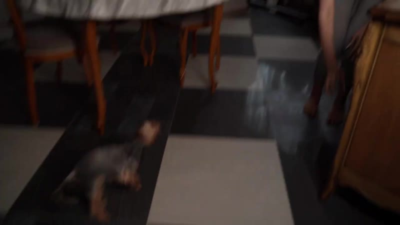 Обмен телами с моей мамой на 24 часа😱 поменялись жизнями! мама потратила 1 млн