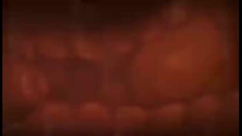 3kaaf porn video – رقص کیر در کس 3kaaf@