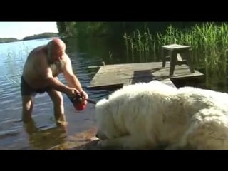 Да отстань ты, мне и так норм (vhs video)