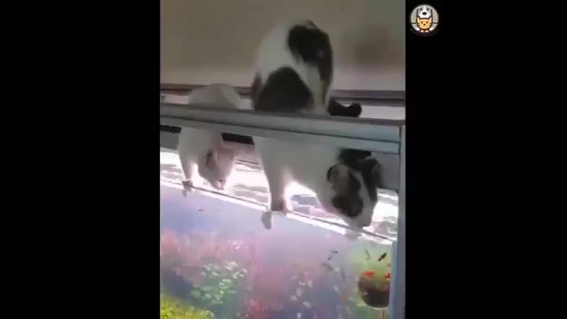 Хочешь пить умей крутиться 😉