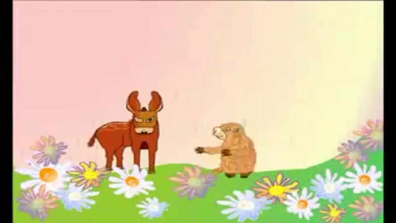 Ослик, суслик, паукан и мокренькая кисонька
