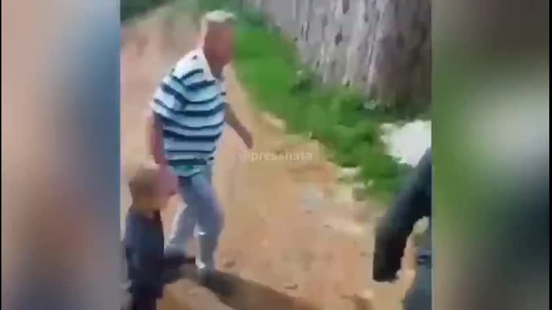 Натравил молодые