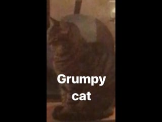 From isobel bruce isstagram stories 25 12 17