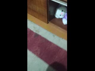 Vid 20190201 200858 mp4