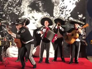 Выстаа "viva la vida фрида кало и диего ривера" цвз "манеж", 2018 (1)