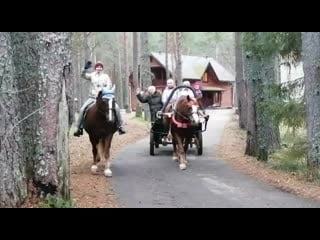 Trim 20191220 164224 mp4