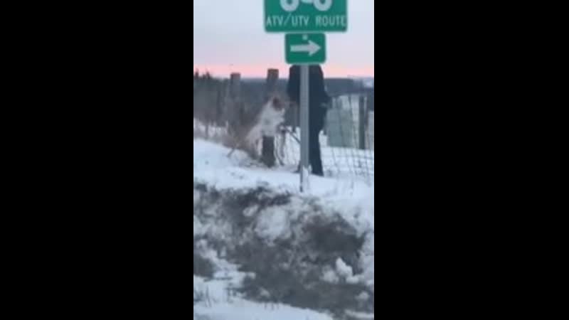 Оленя выпустили зз забора jktyz dsgecnbkb pp pf,jhf jktyz dsgecnbkb pp pf,jhf jktyz dsgecnbkb pp pf,jhf