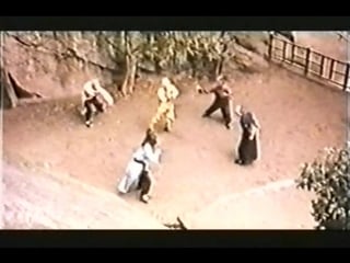 1982 наследники ниндзя / ninja porn