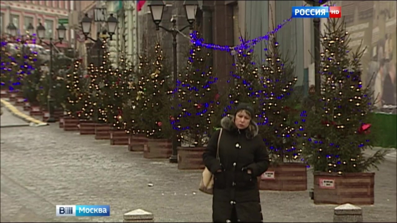 Столичные пешеходные зоны озеленят деревьями в кадках