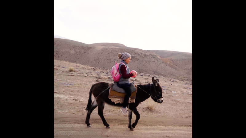 "девочка и ослик" анонс документального фильма