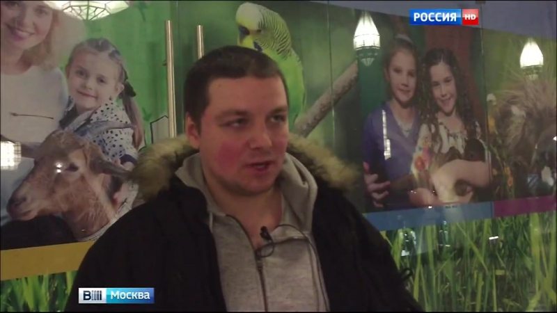 В москве набирают популярность контактные зоопарки