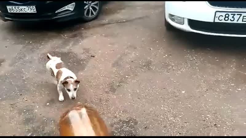 Недопитая пивная кеги это опасная игрушка