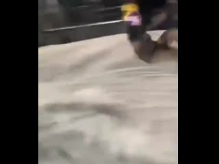 Могёт