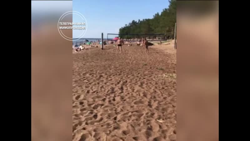 Нудисты играют в волейбол на общественном пляже ленинградская область, сосновый бор