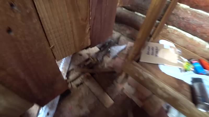 Привел жену в землянку заготавливаем дрова