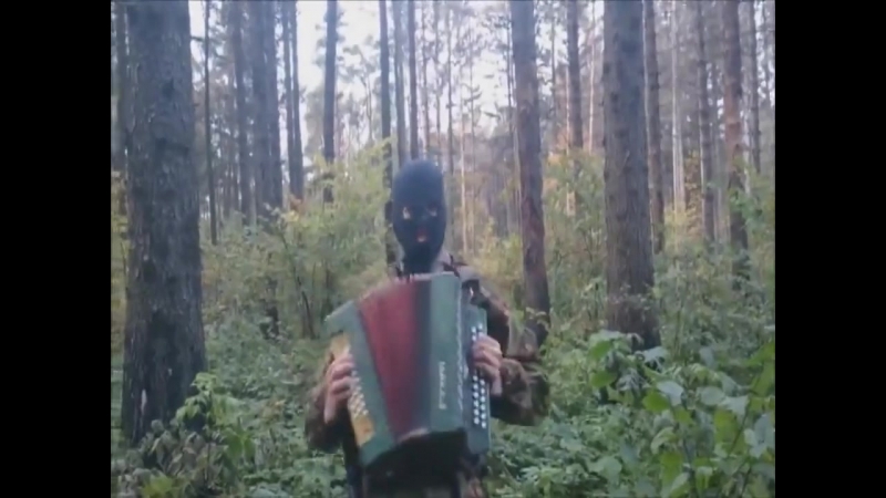 Это баян (vhs video)