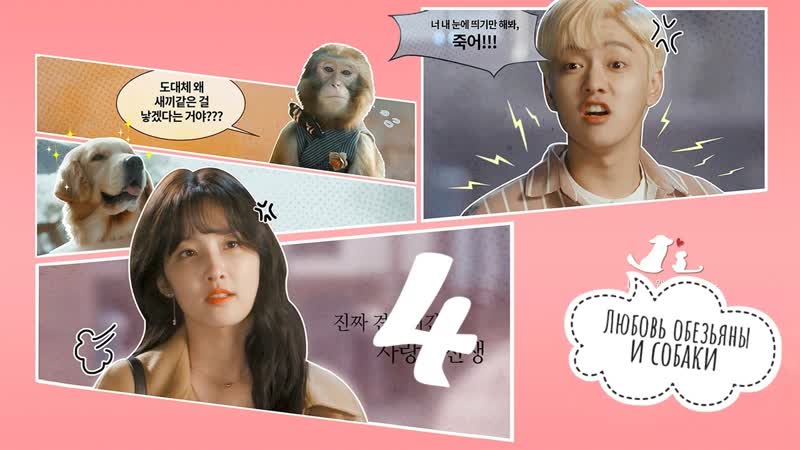 [mania] 04/10 [720] любовь обезьяны и собаки / monkey and dog romanc