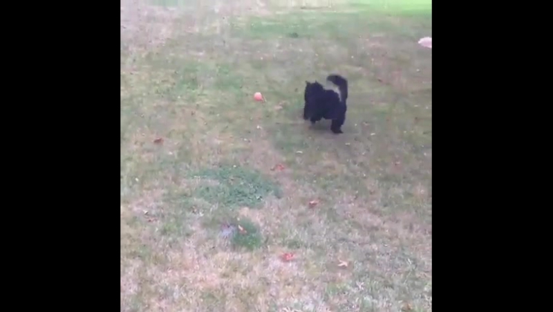 Kiedy coś poszło nie tak