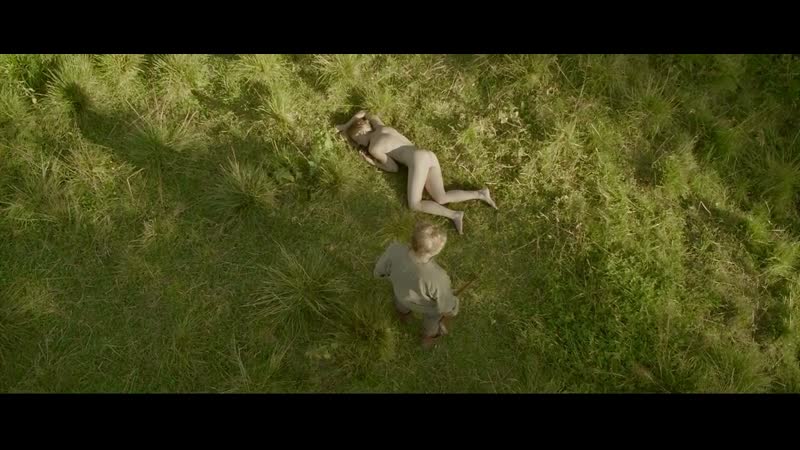 Надин петри ее черные крылья / nadine petry hennes svarta vingar ( 2013 )