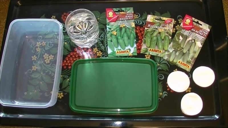 Сажаем огурцы на балконе часть 1