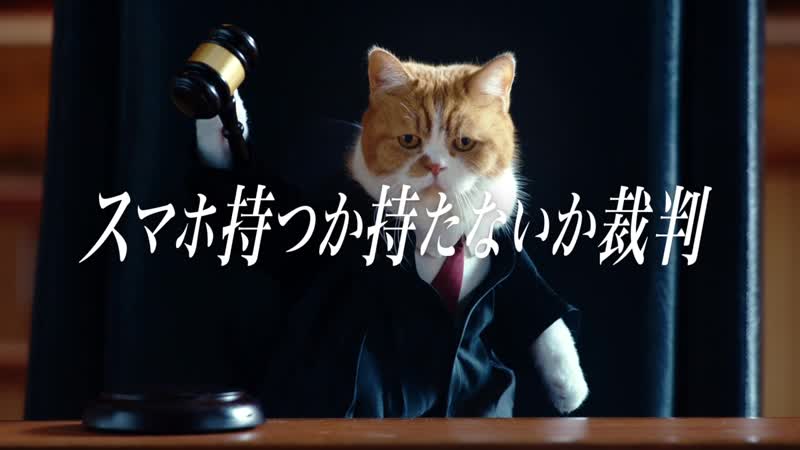 Каясима мидзуки, нисида наоми, исикава карэн ymobile 2