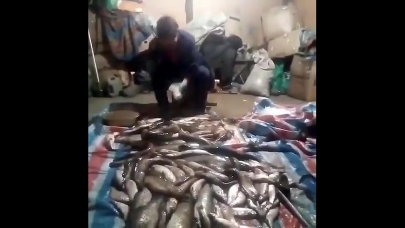 Муж приехал с рыбалки жена в шоке