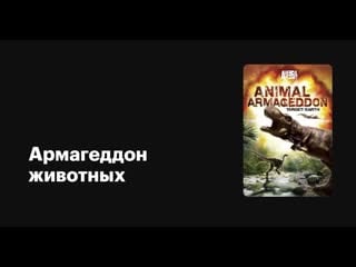 Армагеддон молодые / porn armageddon серия 6 разверзнутые небеса / tod aus der luft / panic in the sky