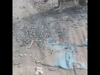 Rus lezbiyenlari bir birlarini yalaydilar Porno chochqachilik cum ichida eski yaqindan